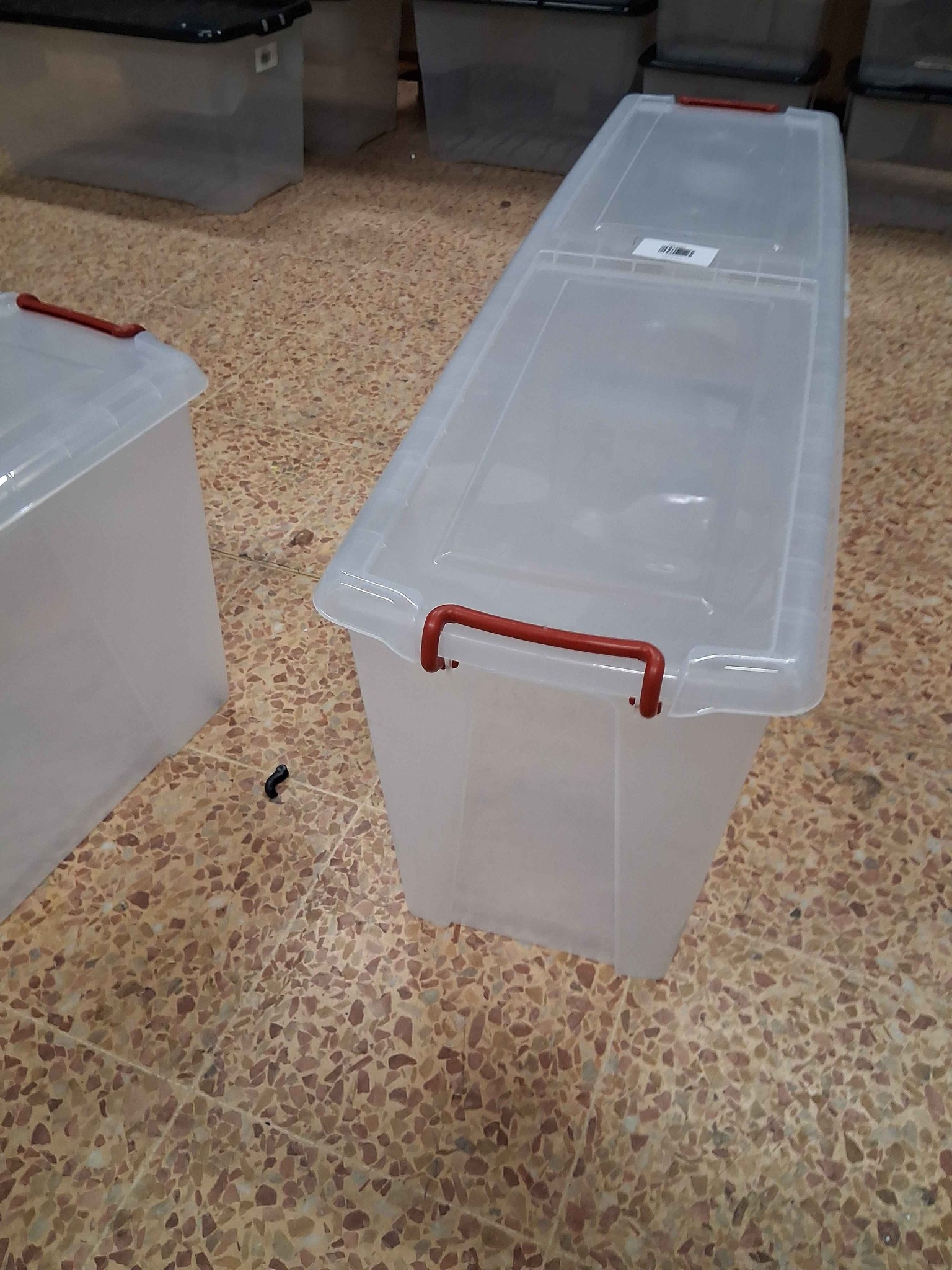Strata 120L Christmas tree storage boxes brand new - Storage Bins ...