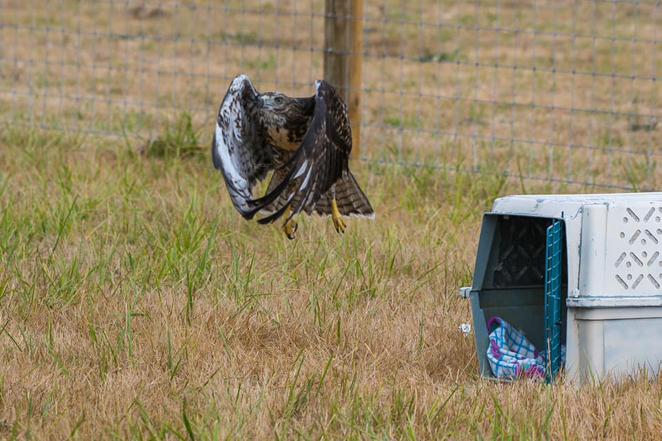 Turtle Ridge Wildlife Center | Lyons OR