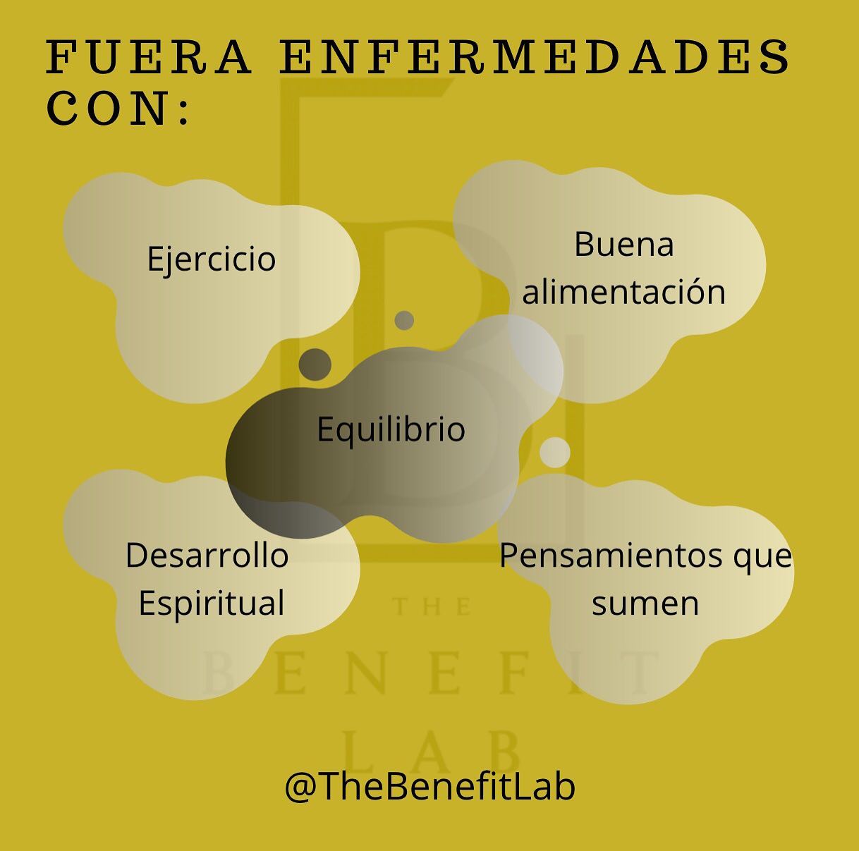 The Benefit Lab - Lo básico para estar saludables 🤩 • • • • • #salud # ...