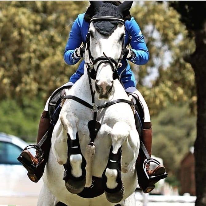 Equitopia Equestrian added a new photo. - Equitopia Equestrian