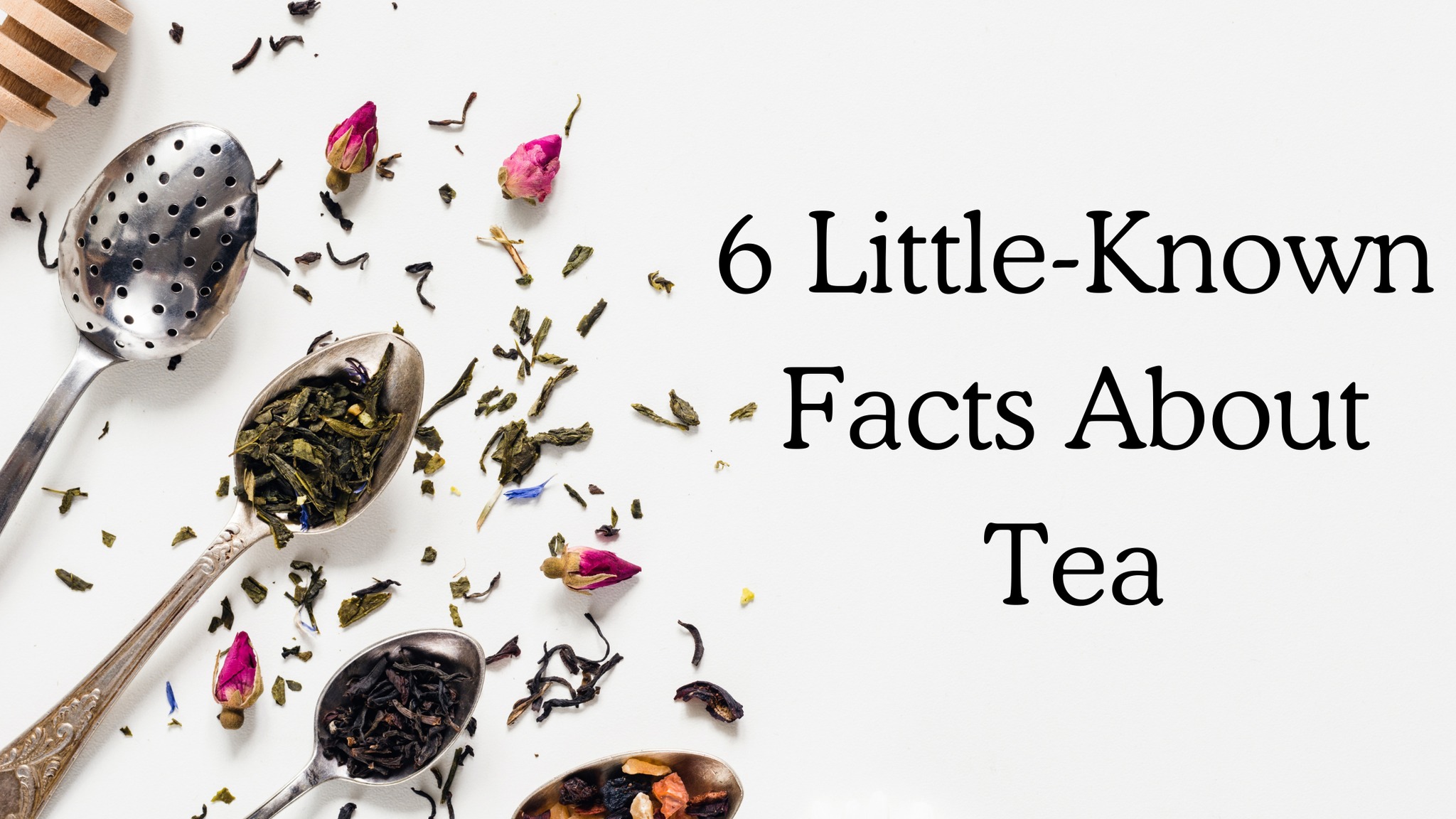 Ainsley's - 6 Little-Known Facts About Tea. Read our fun facts about ...