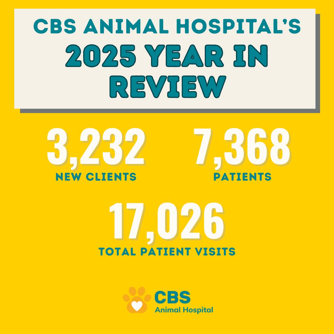 CBS - 2025 was a busy year! Check out these stats for our year in ...