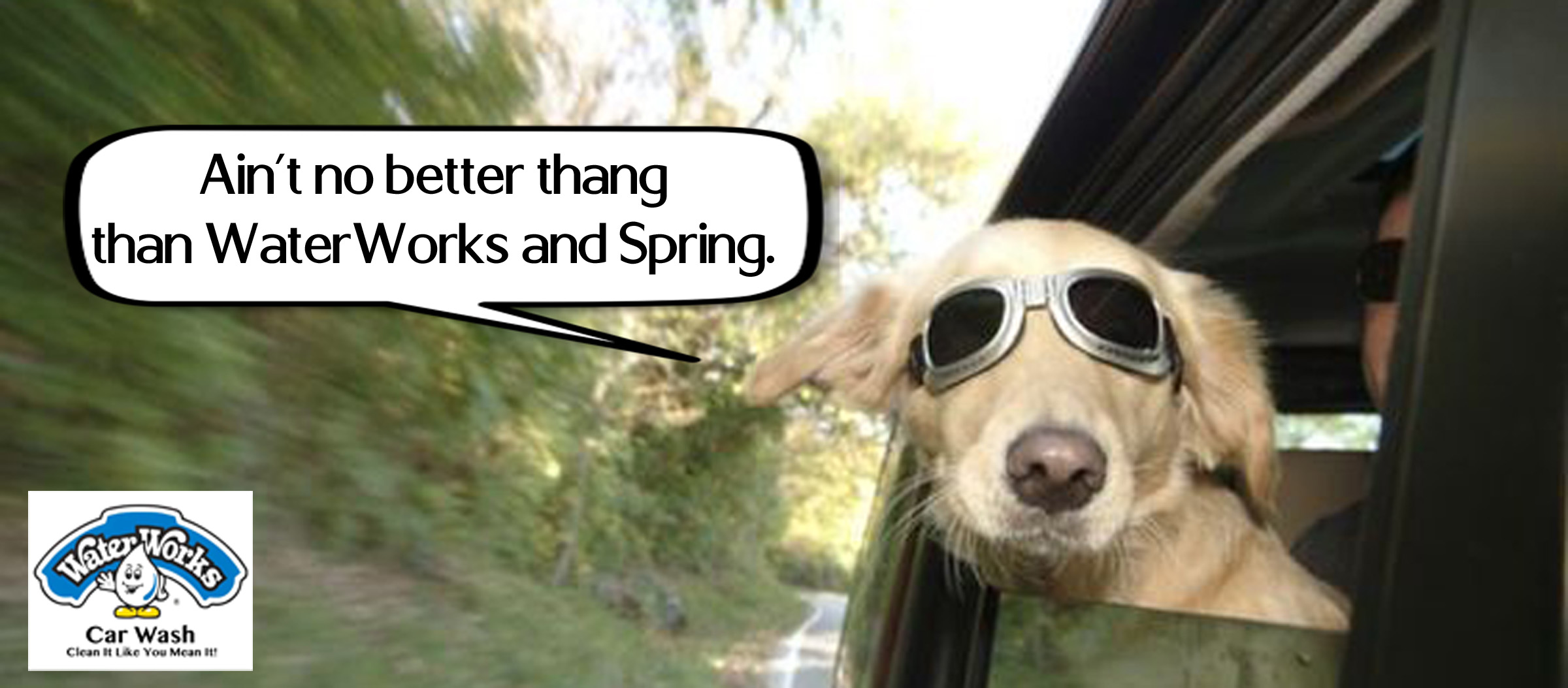 Waterworks Car Wash Springfield | Springfield IL