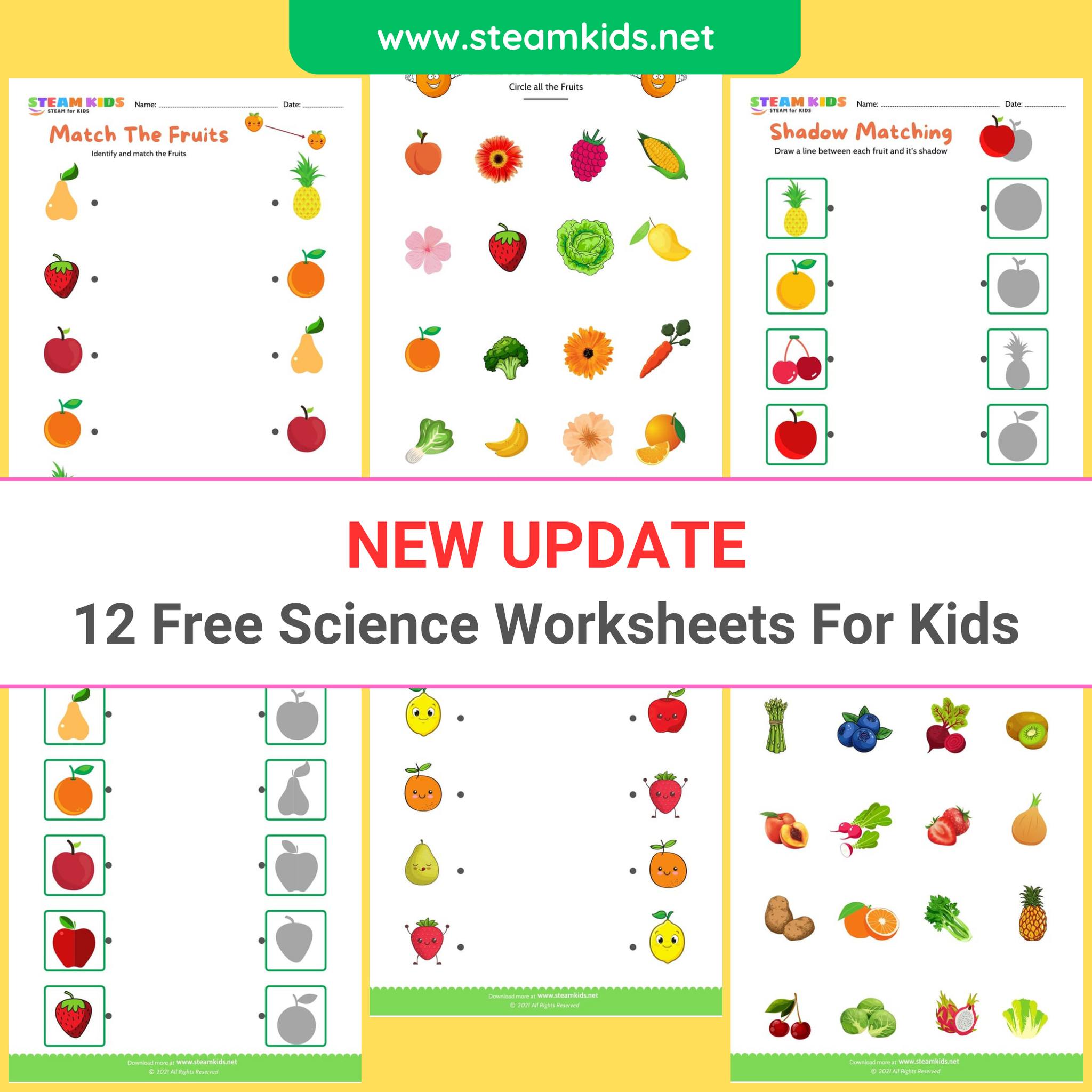 SteamKids.net - The Best Free Worksheets For Kids