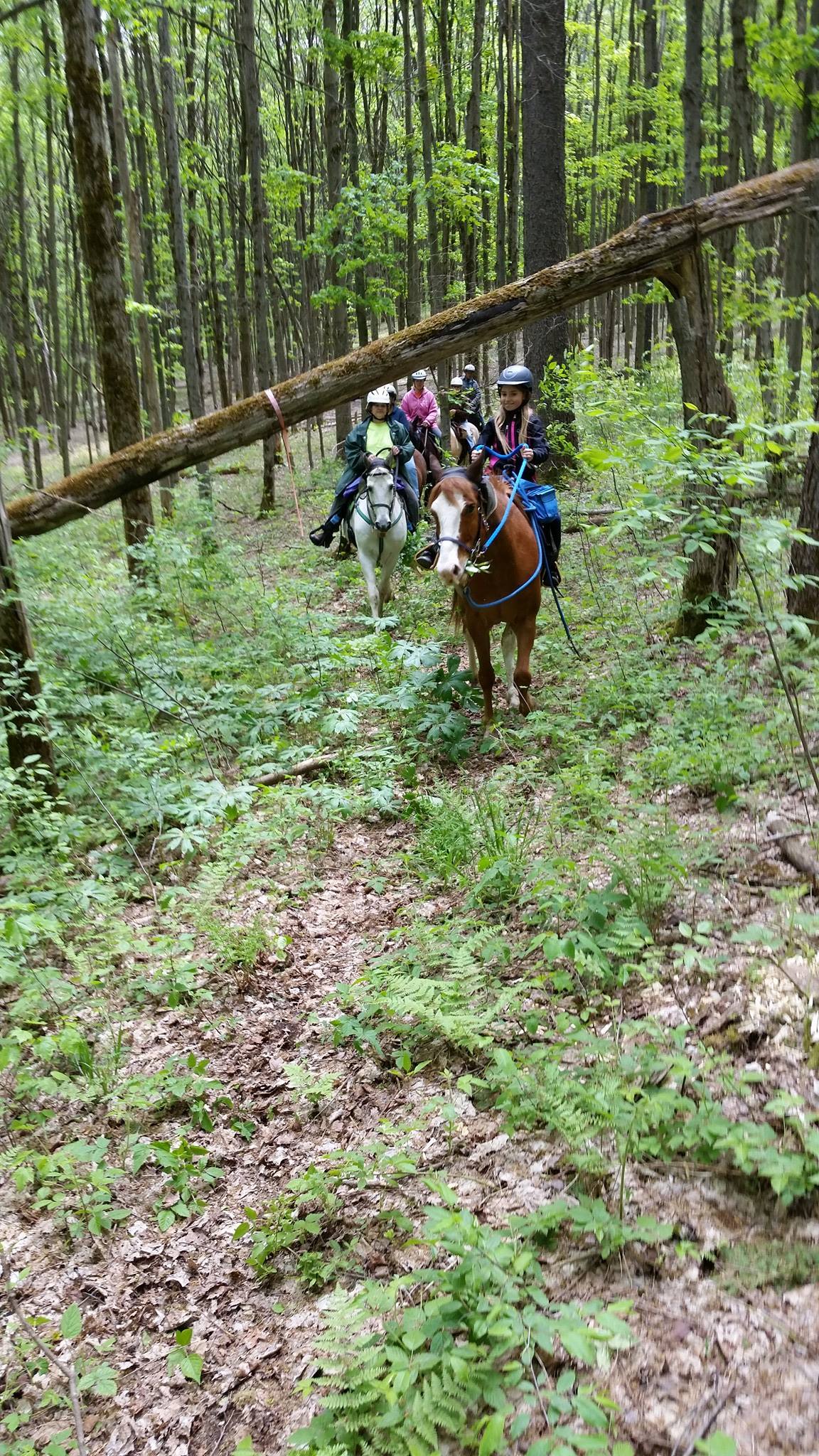 Aurora Trail Riders | Facebook
