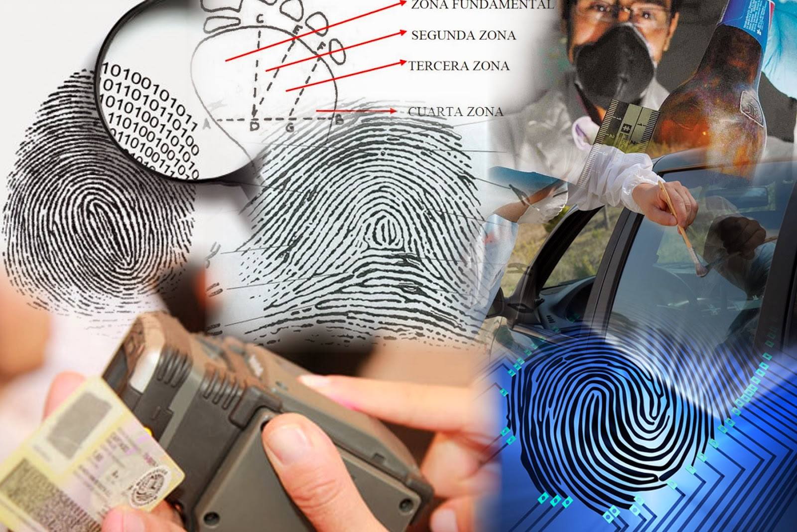 LOFOSCOPIA COMO... - Instituto Colimense de Ciencias Forenses | Facebook