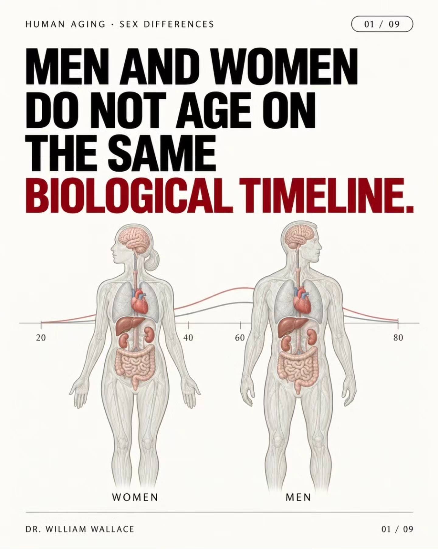 Porn Picture