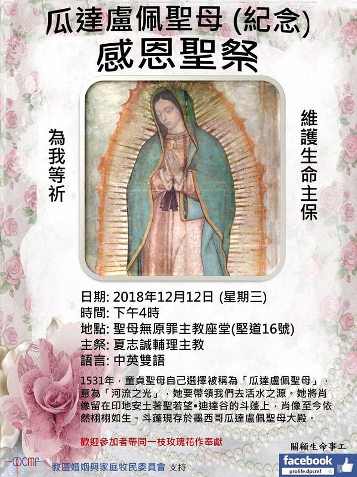 香港天主教資訊通 - #12月12日 (星期三)， 下午 4 時 @ 香港堅道 #主教座堂， 夏志誠輔理主教 主禮 | Facebook
