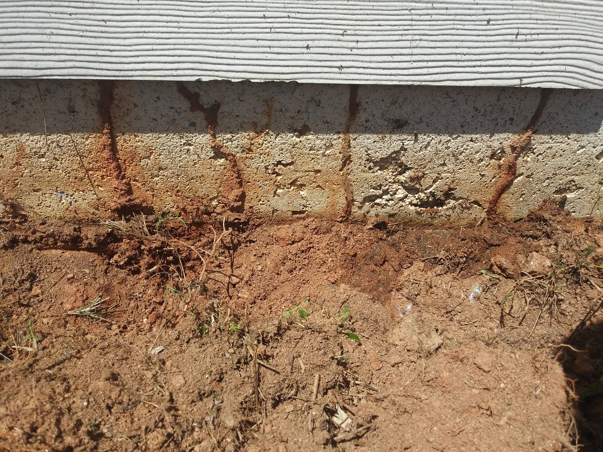 Genesis Pest Control | Atlanta GA