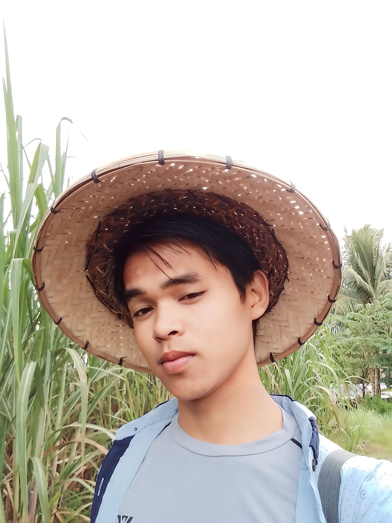 Brix Mark