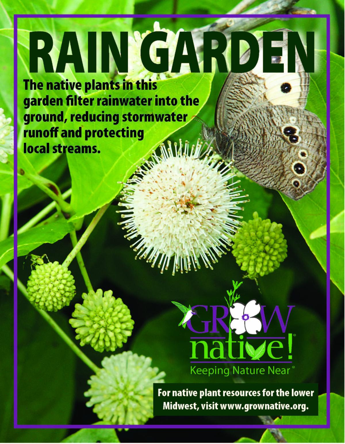 Grow Native - New! Grow Native! Rain Garden Sign MPF's... | Facebook