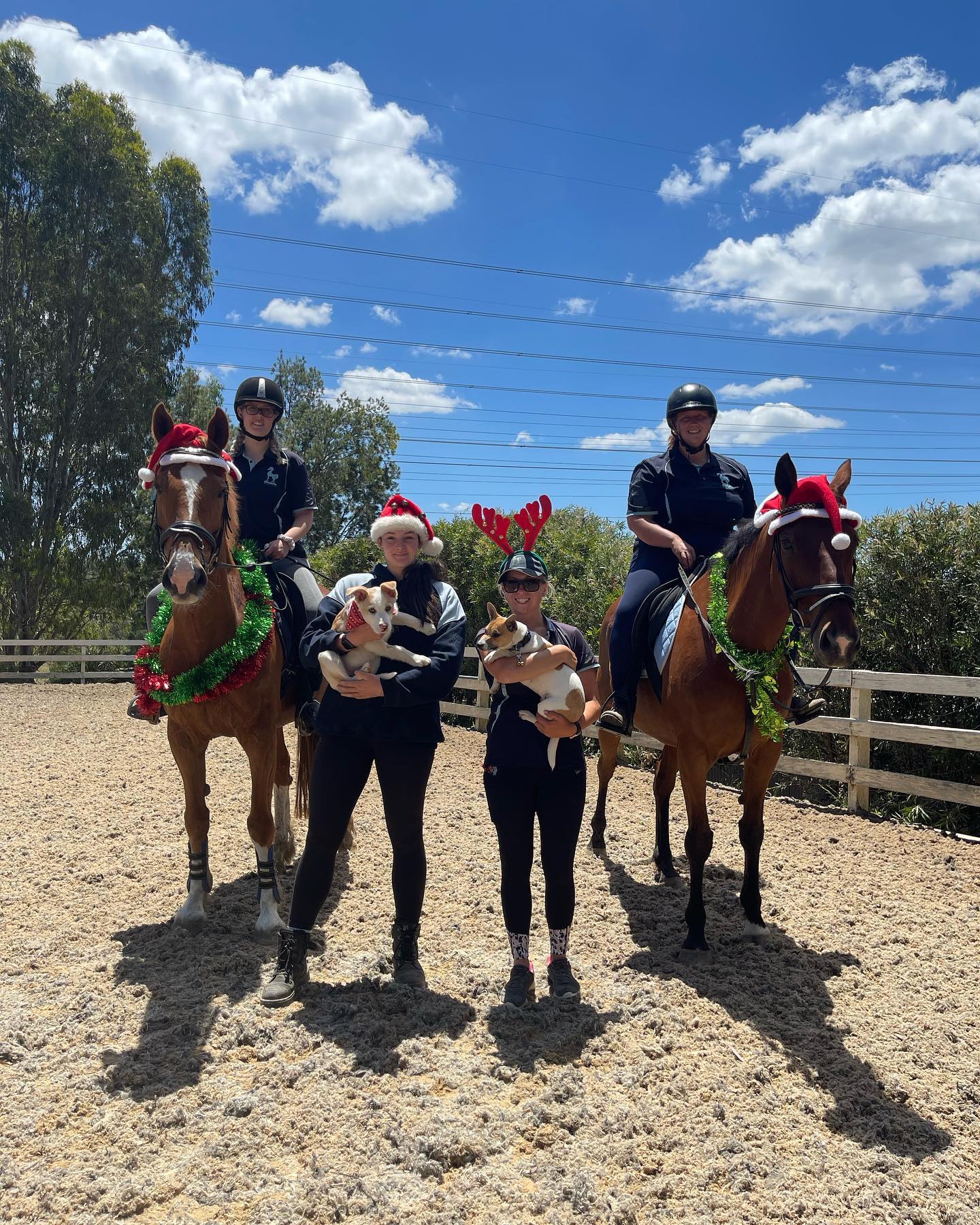 Valley Park Riding School - Home