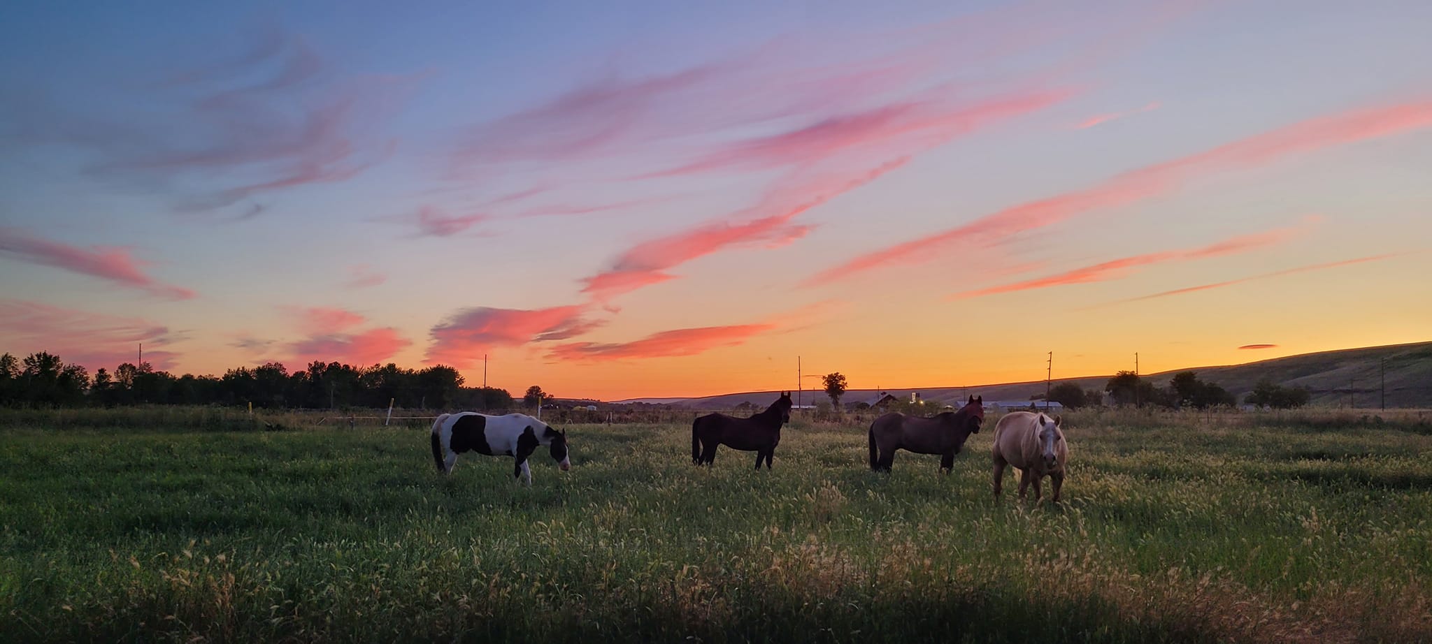 Sunset Valley Ranch | Pendleton OR