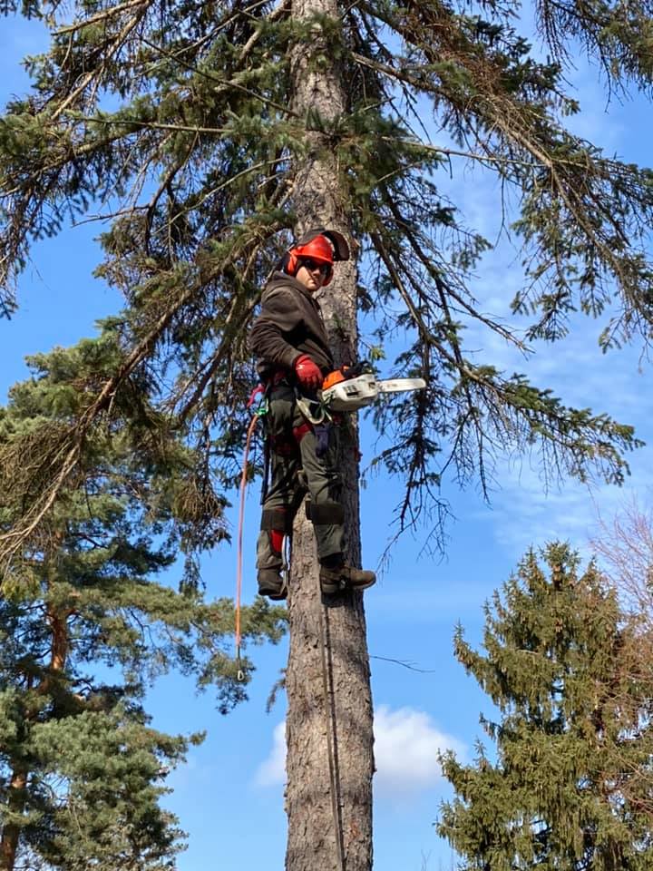 Concord Tree Service | Midland MI