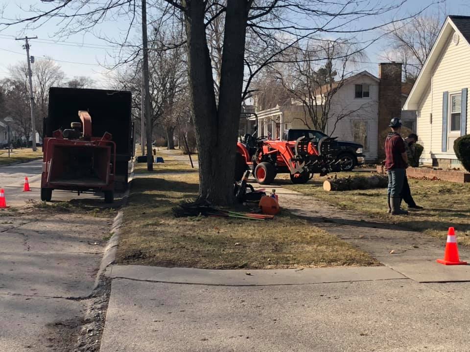 Concord Tree Service | Midland MI