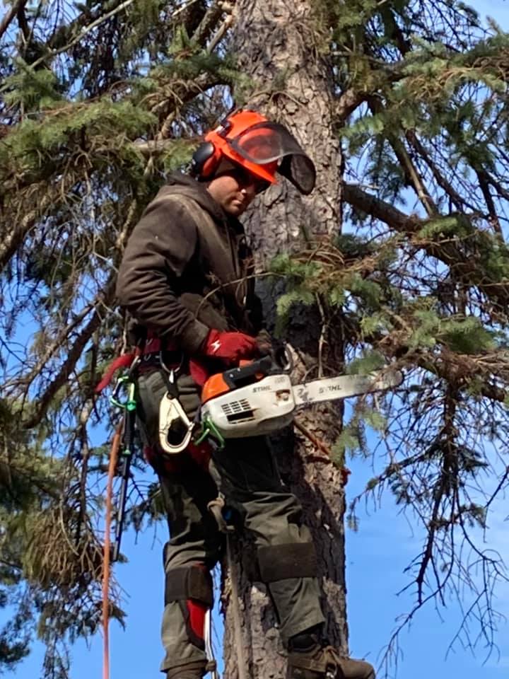 Concord Tree Service | Midland MI