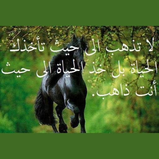 Saed Alluhham