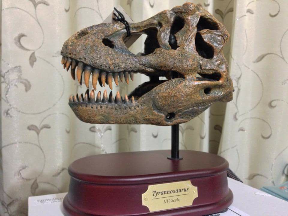 Tyrannosaurus Rex skeleton. Absolute beauty of a set.