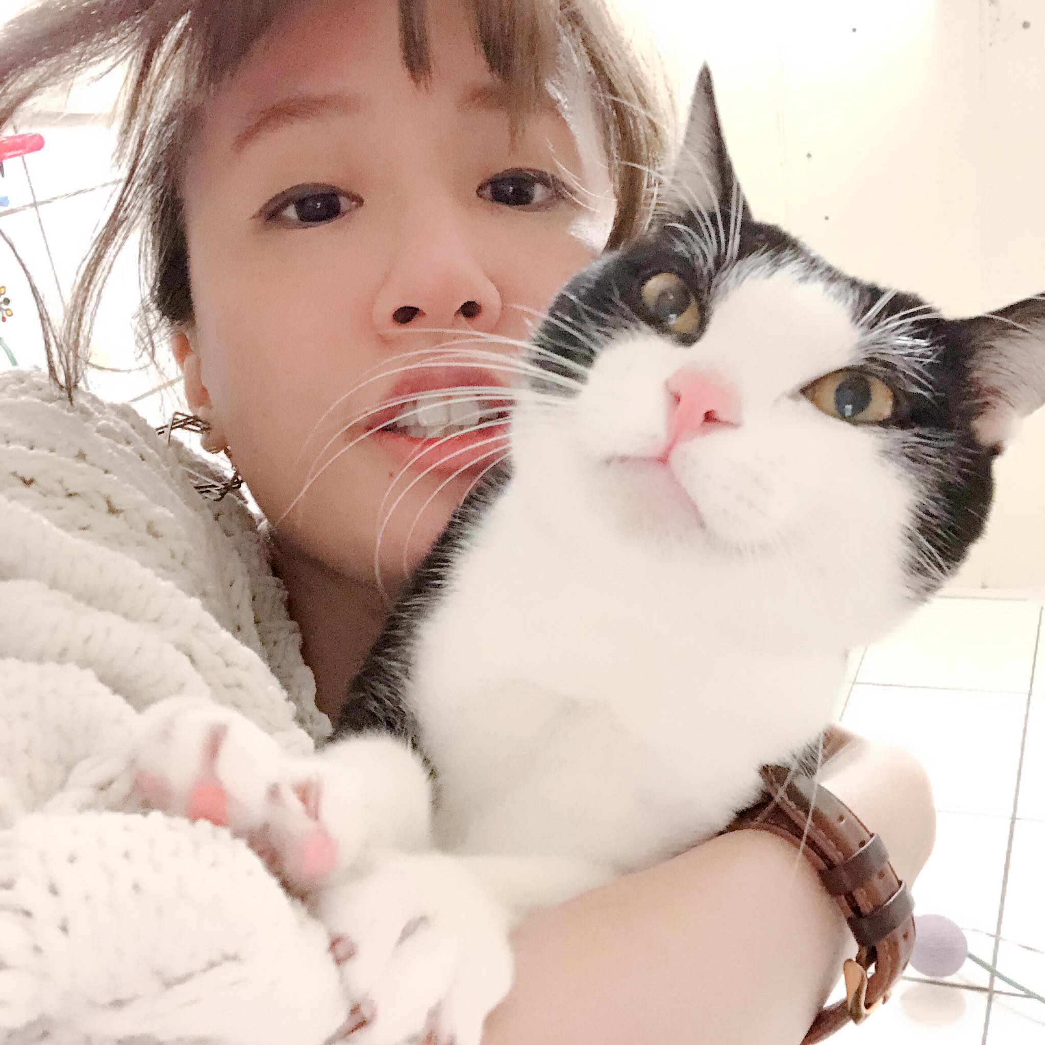 金妮小花兒 - 看到貓咪社團的網友瘋狂攻擊動物溝通這件事 就想到我之前也笑過Hidel喜多😆 ：肚臍是隻貓那麼紅！他所有的事情在網路上都可以查 ...