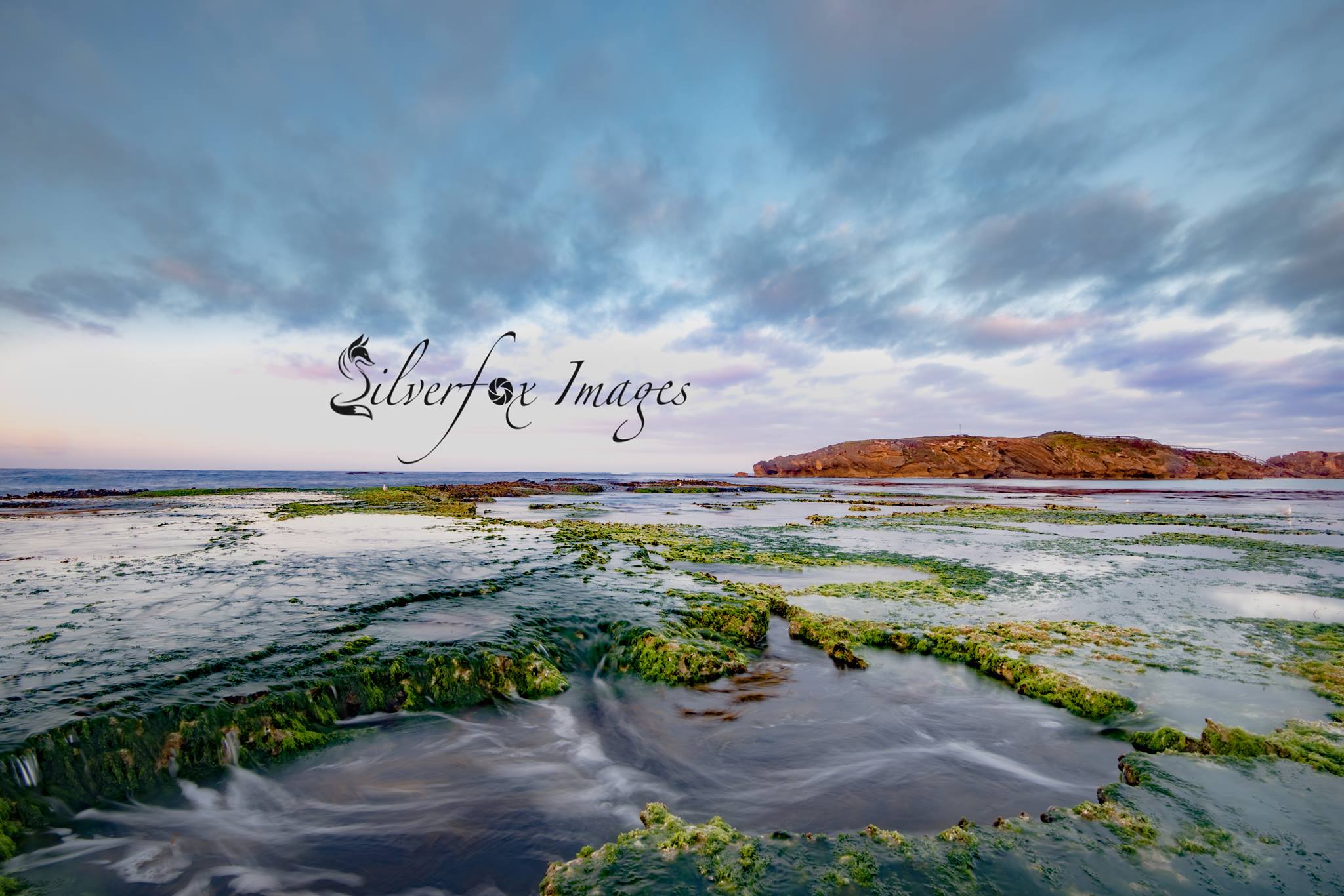 Silverfox Images