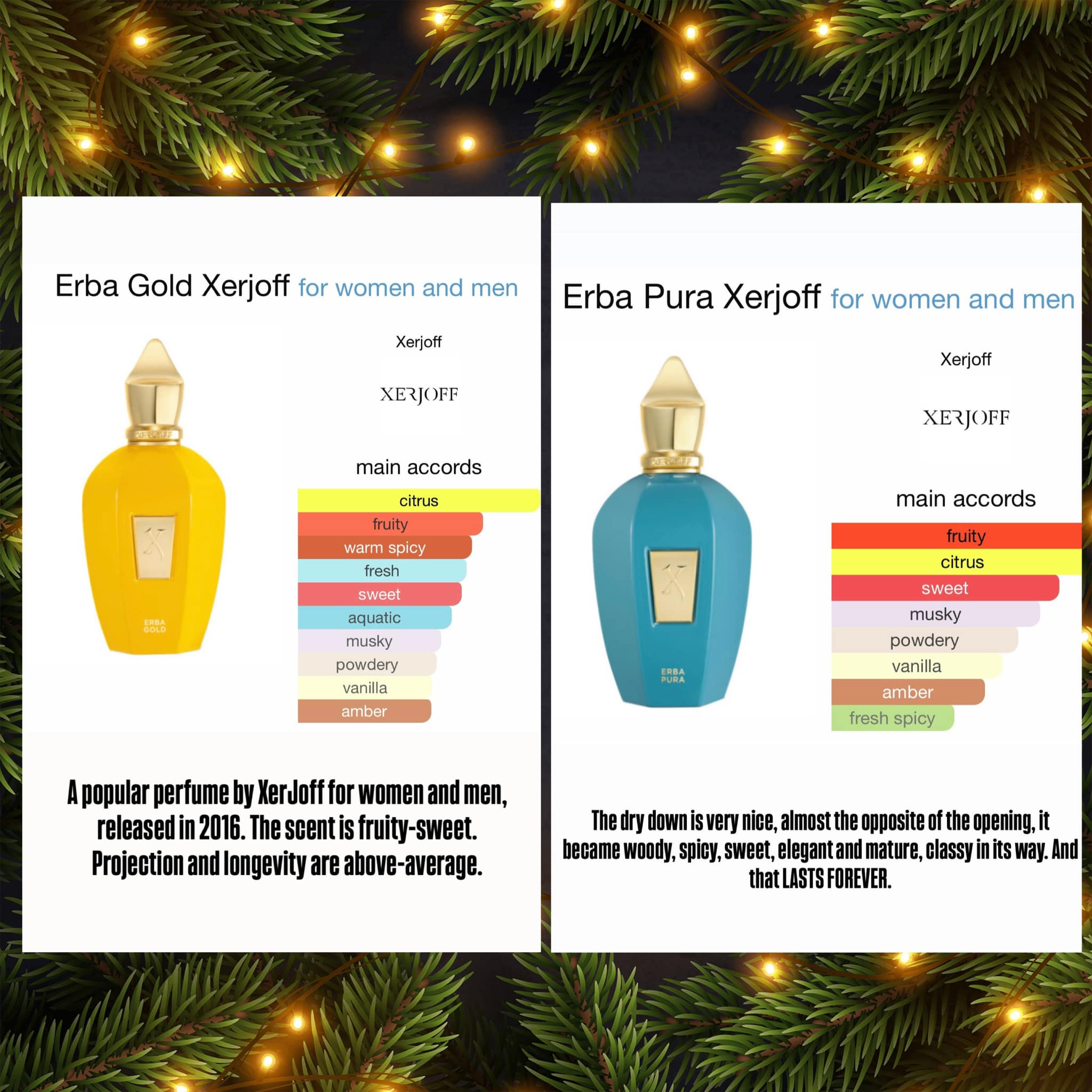 Erba Gold Xerjoff V Erba Pura Eau De Parfum NEW XERJOFF ERBA GOLD 