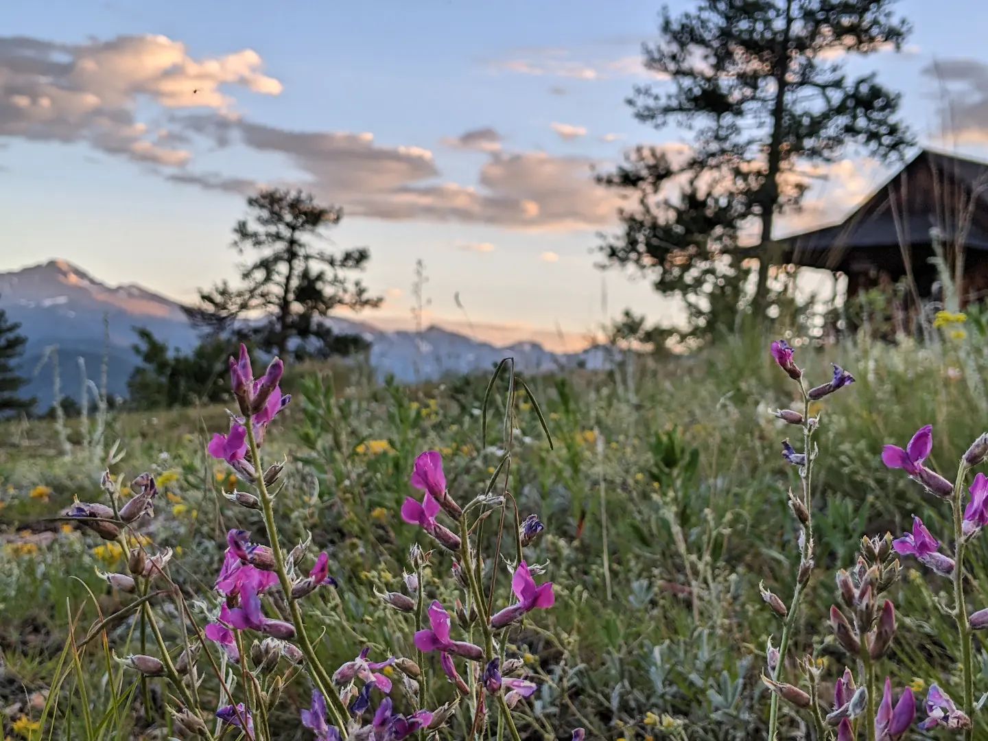 H-Bar-G Ranch | Estes Park CO