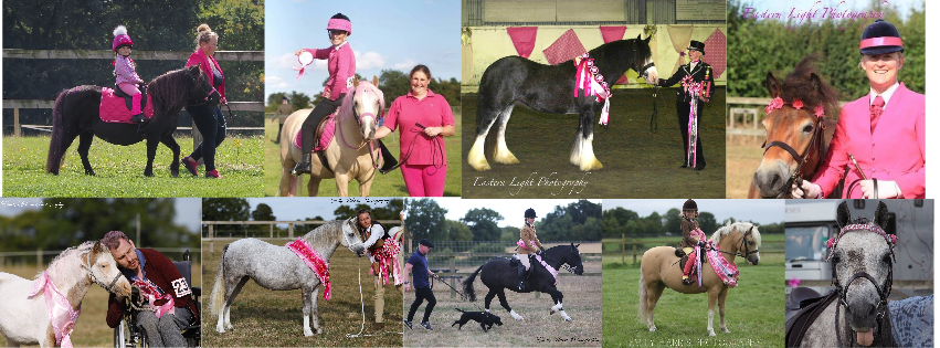 Think Pink Charity Show | Bungay