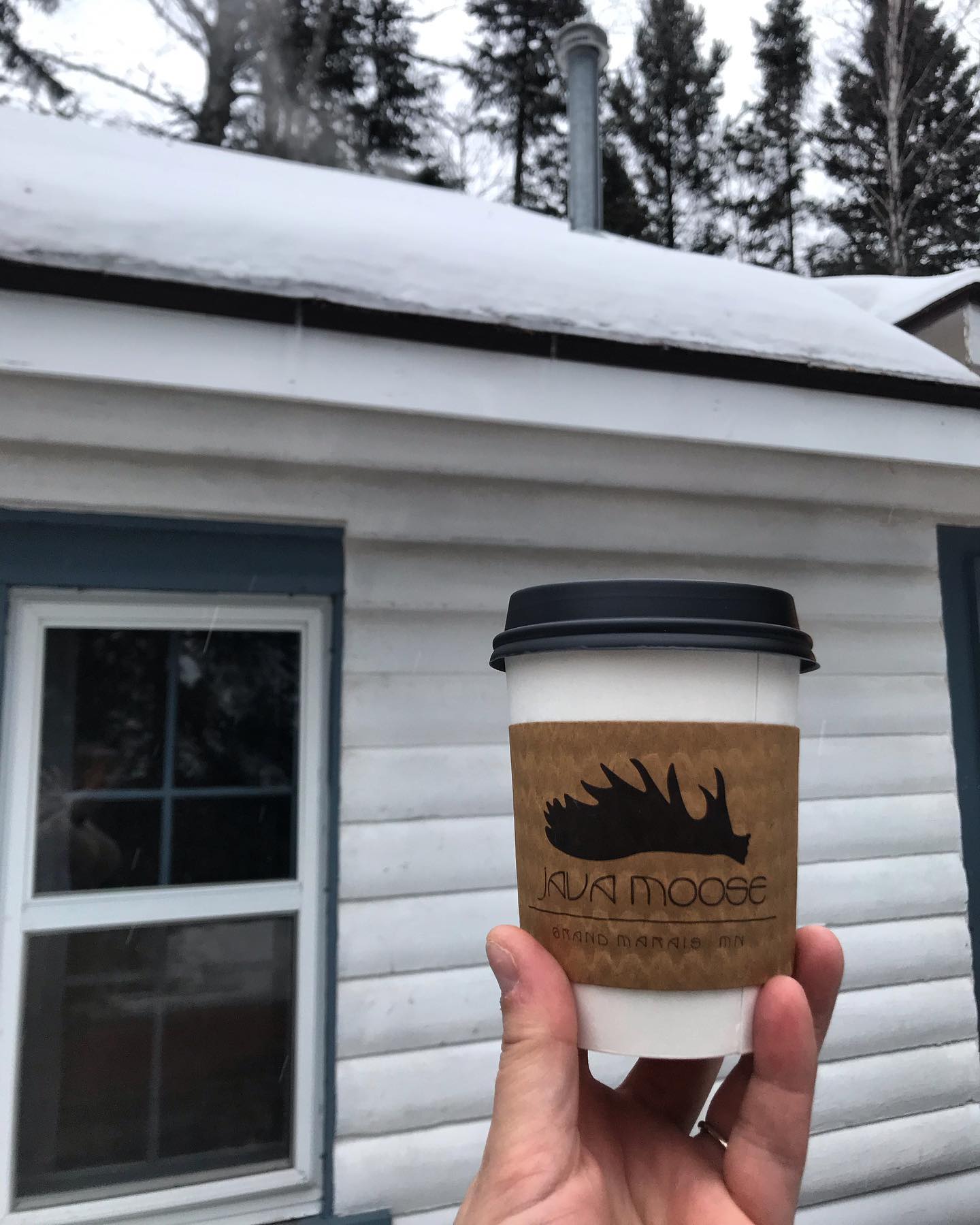 Java Moose | Grand Marais MN