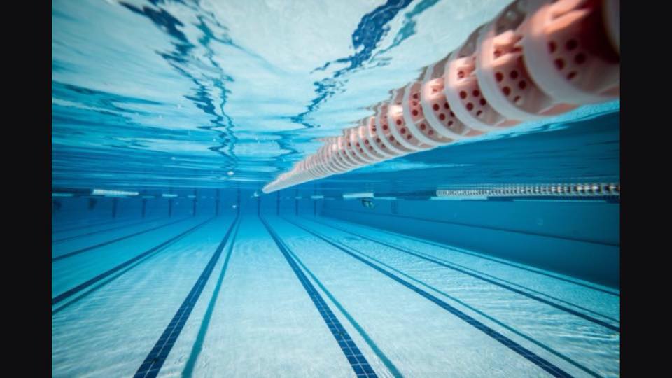 Maybole Amateur Swimming Club