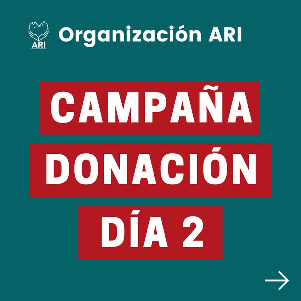 Amigos ARI Sabemos que a nuestros... - Organización ARI | Facebook