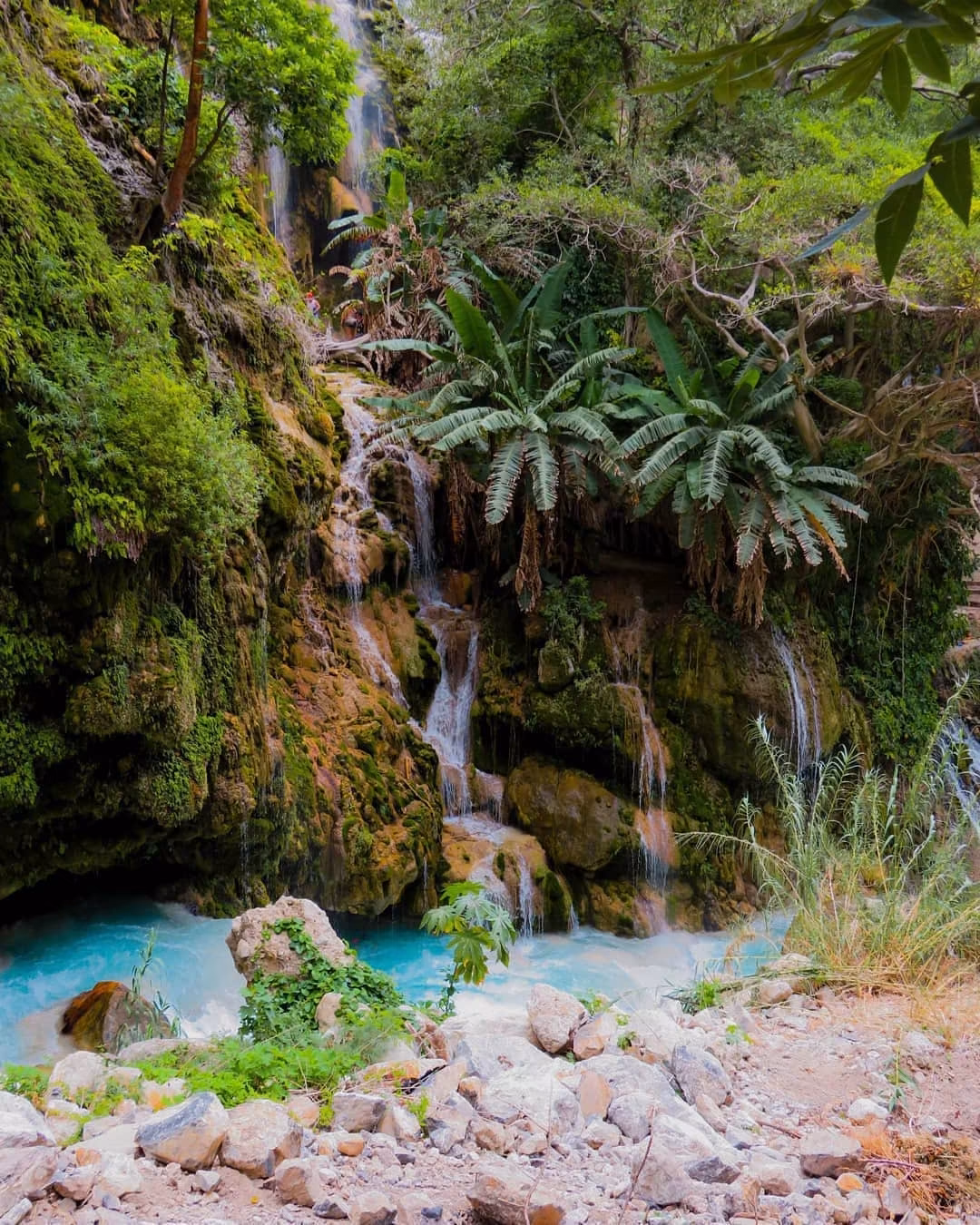Grutas de Tolantongo 🌿🌵🌊 📍... - Orgullosamente Hidalguense