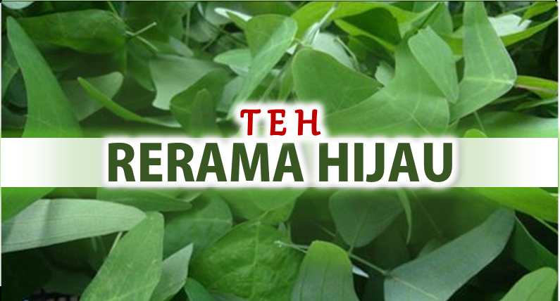 Teh Rerama Hijau Penang