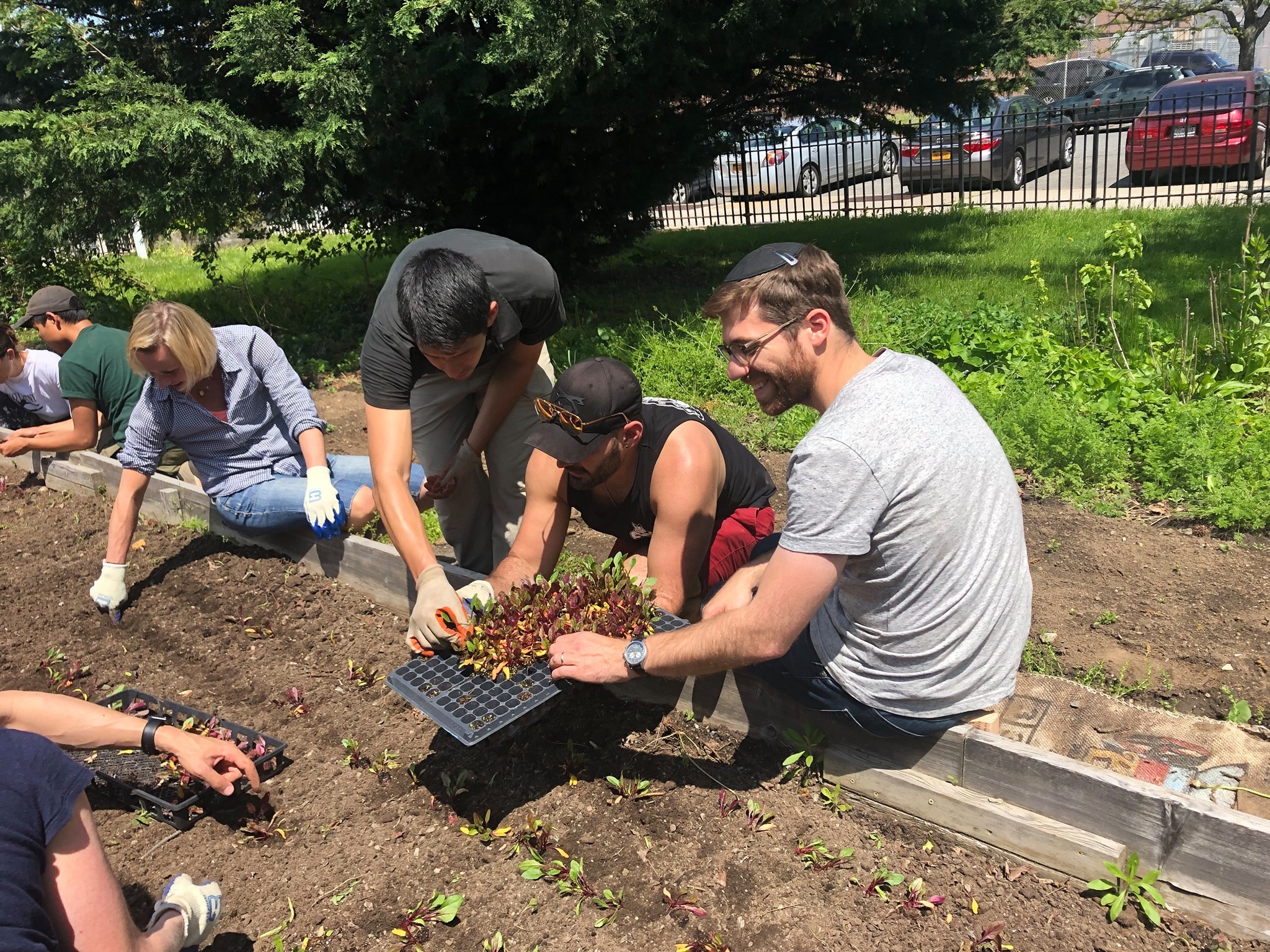Photo inspiration: Volunteer At An Urban Farm In Bed Stuy Photo Inspiration