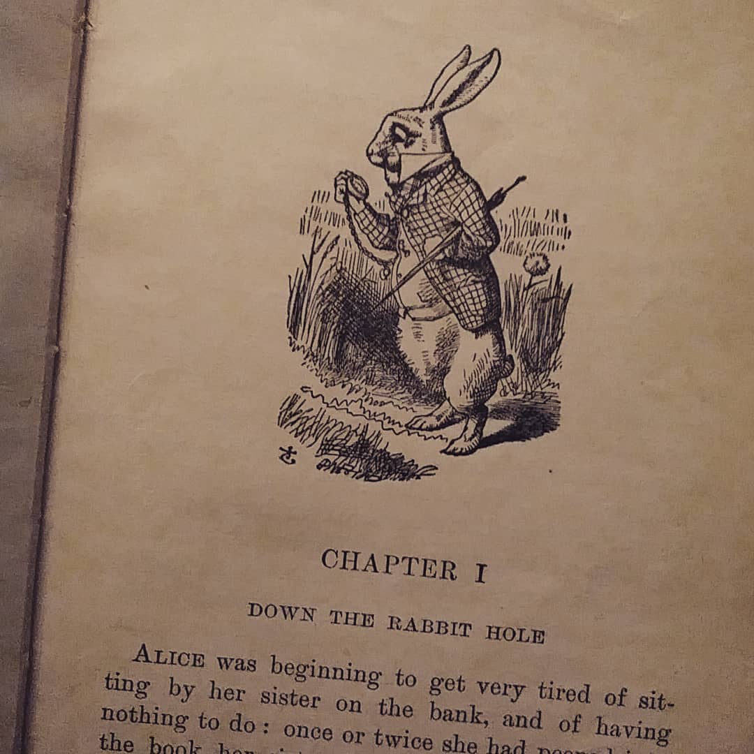 Salty Rabbit