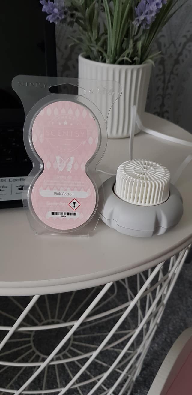 Scentsy Heaven - 🌈 Mini Fan Diffusers are the smallest