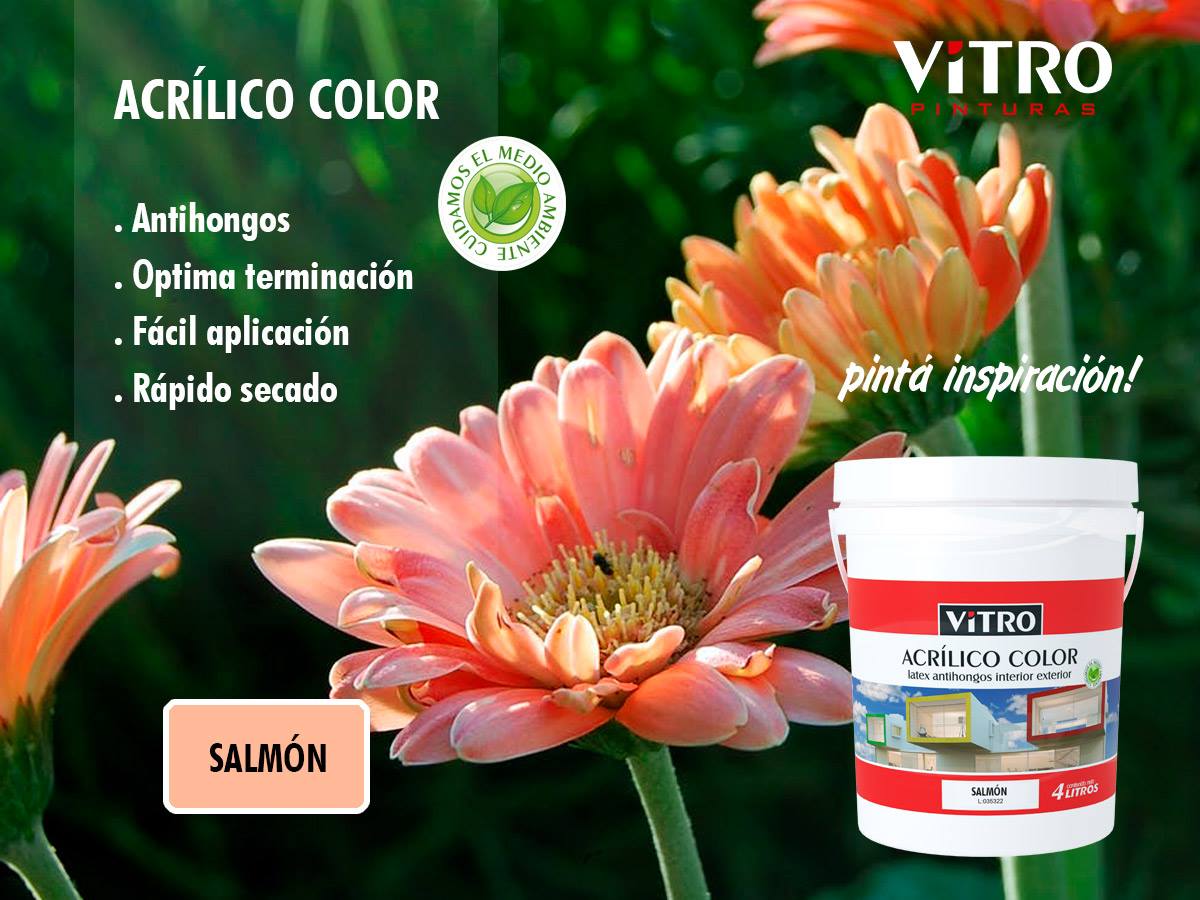 Vitro Pinturas - Elige el color para tu hogar con la... | Facebook