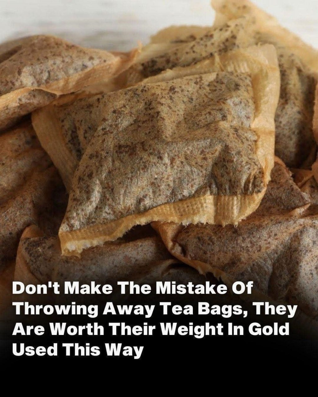 Fort Myers BEACH | Don't make the mistake of throwing away tea bags ...