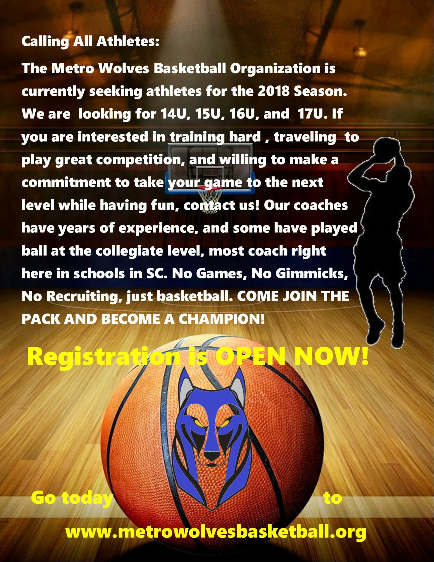 Metro Wolves Basketball Organization