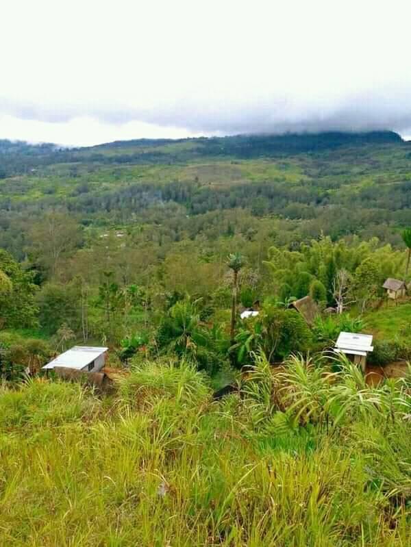 TAKAI BLOOD.WARD 4 EAST OKAPA EHP PNG | Facebook
