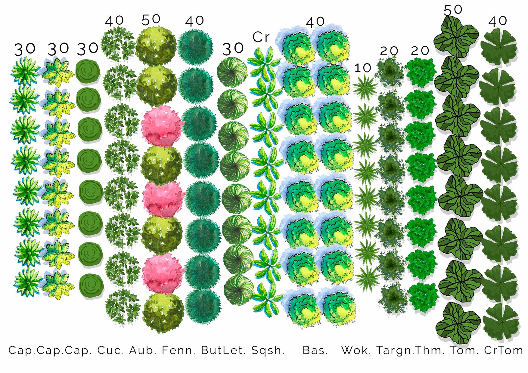 This diagram shows, in centimetres, the... - Seedling Stokvel | Facebook