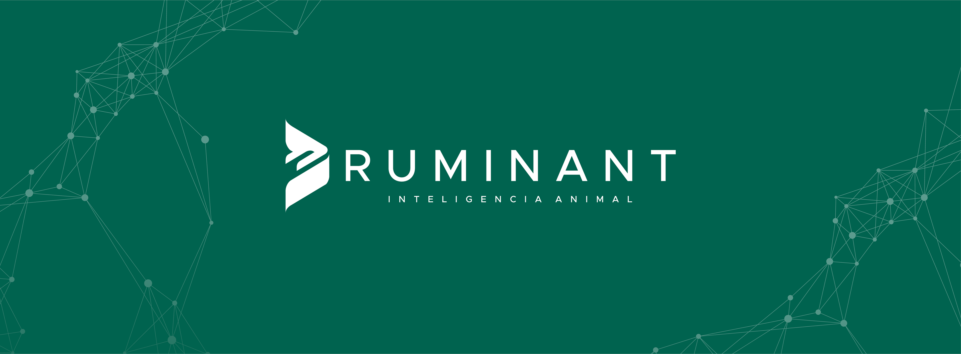 Ruminant