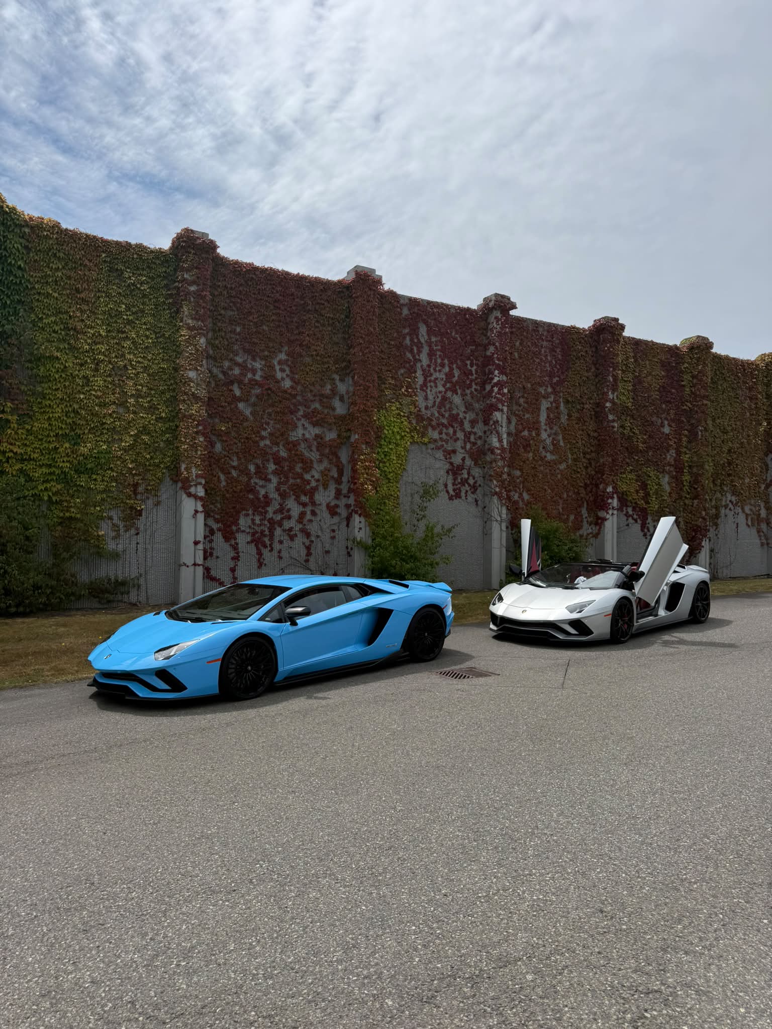 Looking for Cars : Read below We are currently searching for Pista