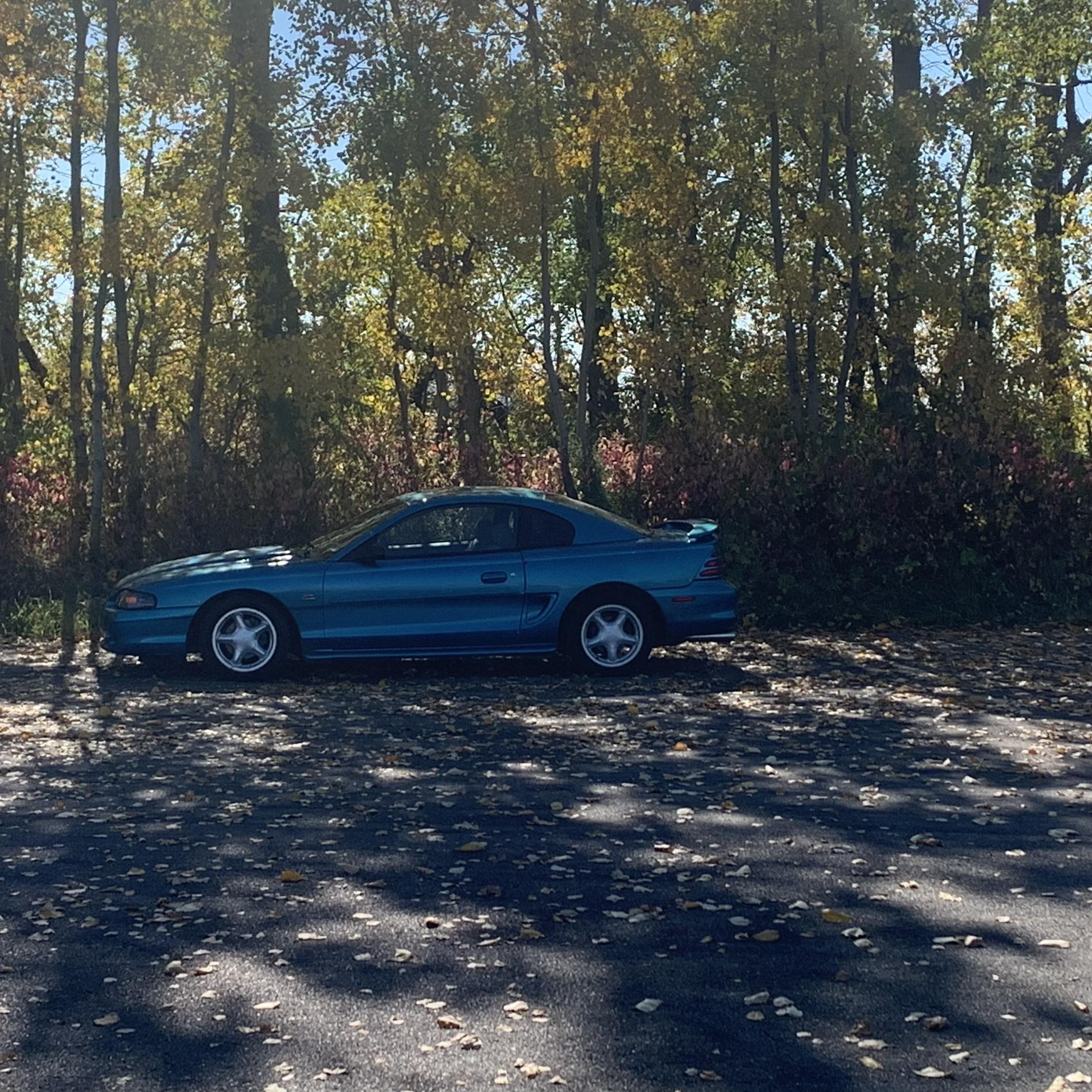Holley Terminator X Ford Tech Page | Any body else have a stumble off ...