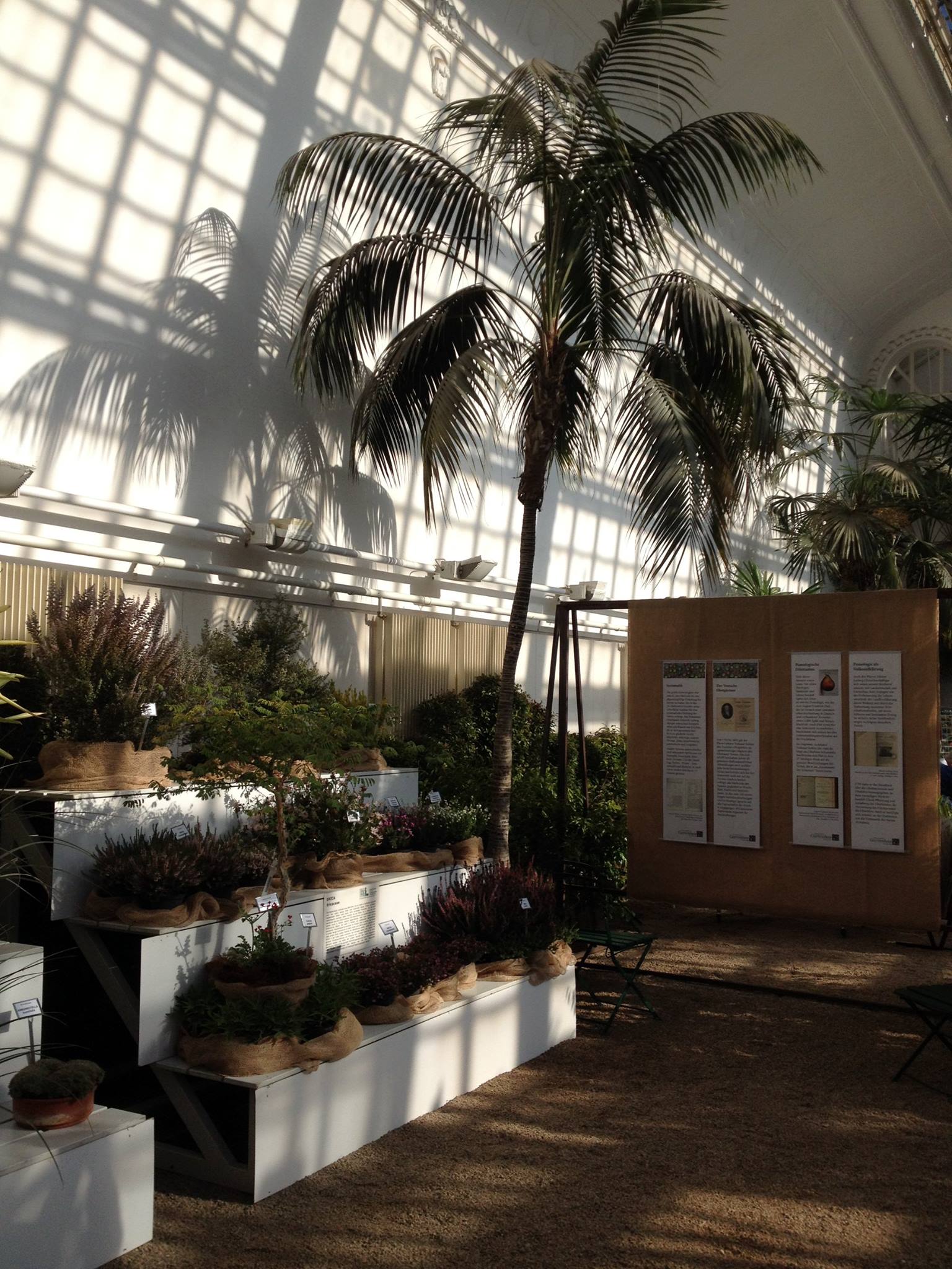 Palmenhaus Burggarten - Wintergarten | Vienna