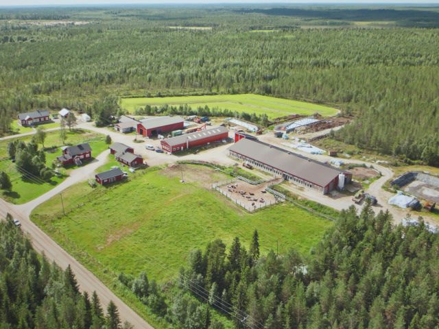 Jussi Heinäaho - Tulukaaha näyttämää että teistä on johonki | Facebook