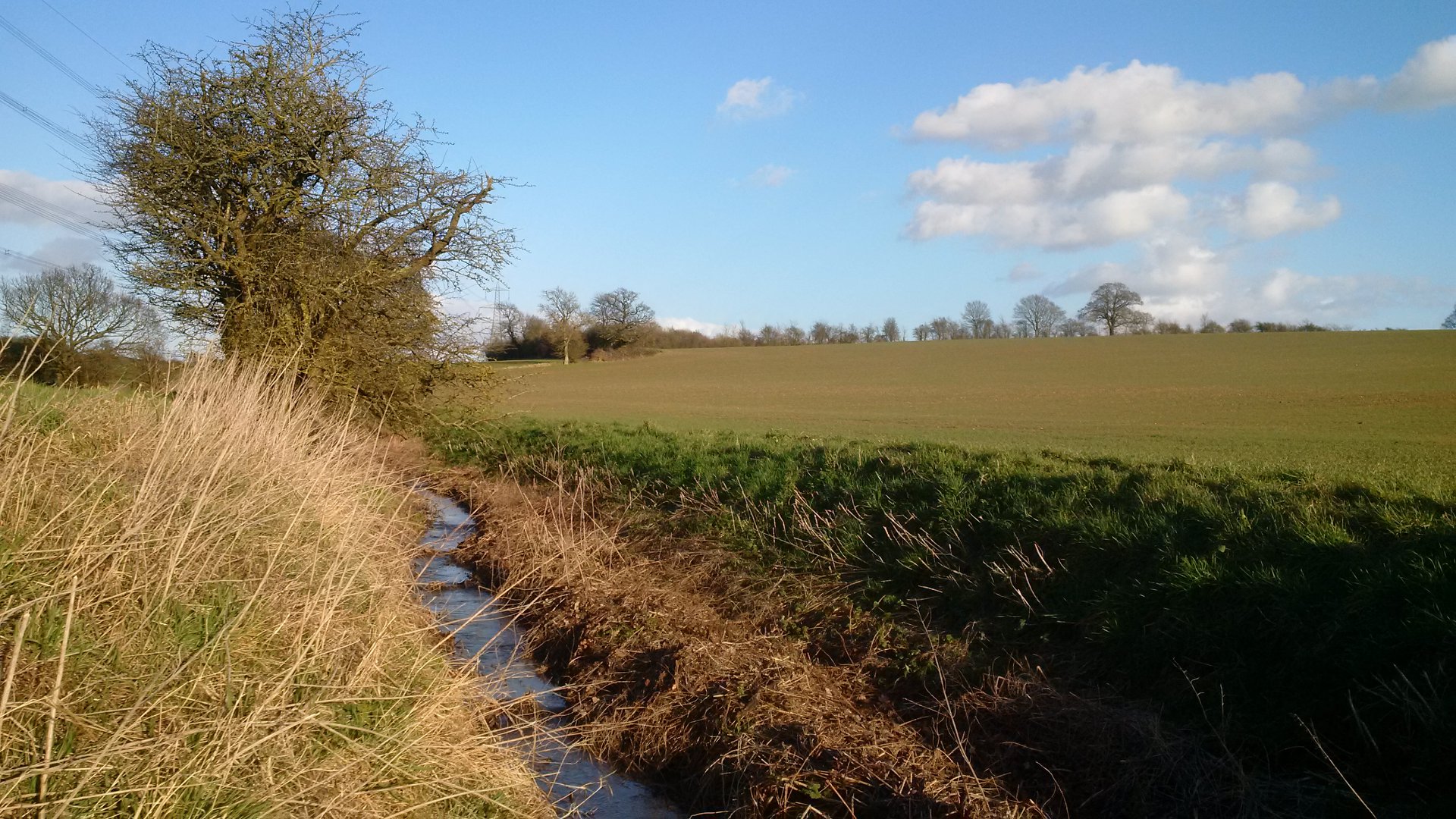 The Return of Mr Beane! The River... - Cottered Village | Facebook