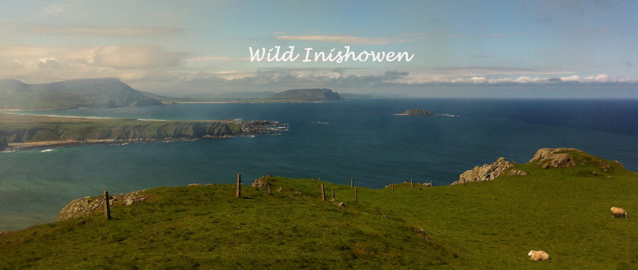 Wild Inishowen Club added a new photo. - Wild Inishowen Club