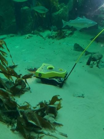 VideoRay ROVs - Singapore Dealer | Singapore Singapore