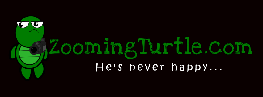 Zooming Turtle