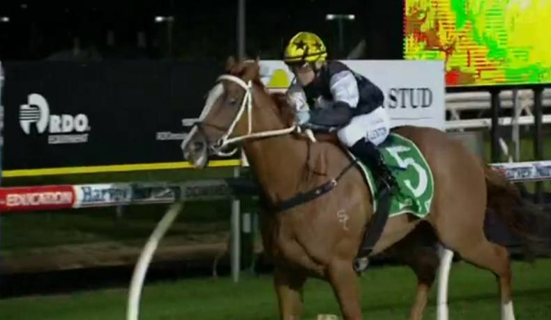 Racing around Queensland | Toowoomba Race 4 Results | Facebook